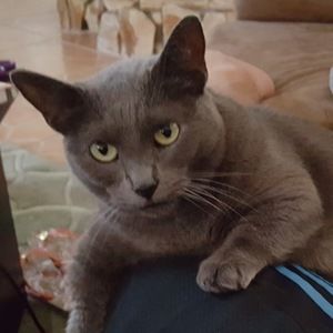 Meet your Posher, Matt